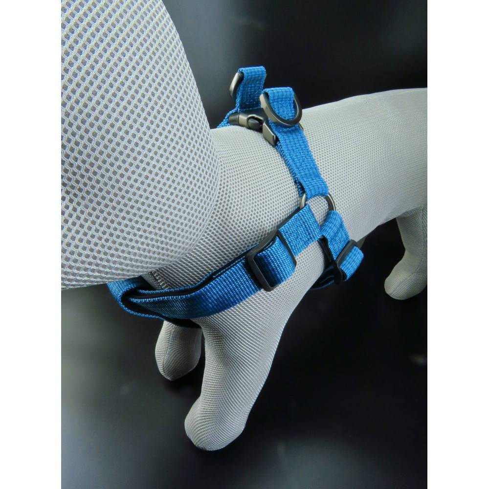 Flamingo - Harnais Jannu bleu taille XL 60-90 cm 25 mm pour chien - Imagen 8