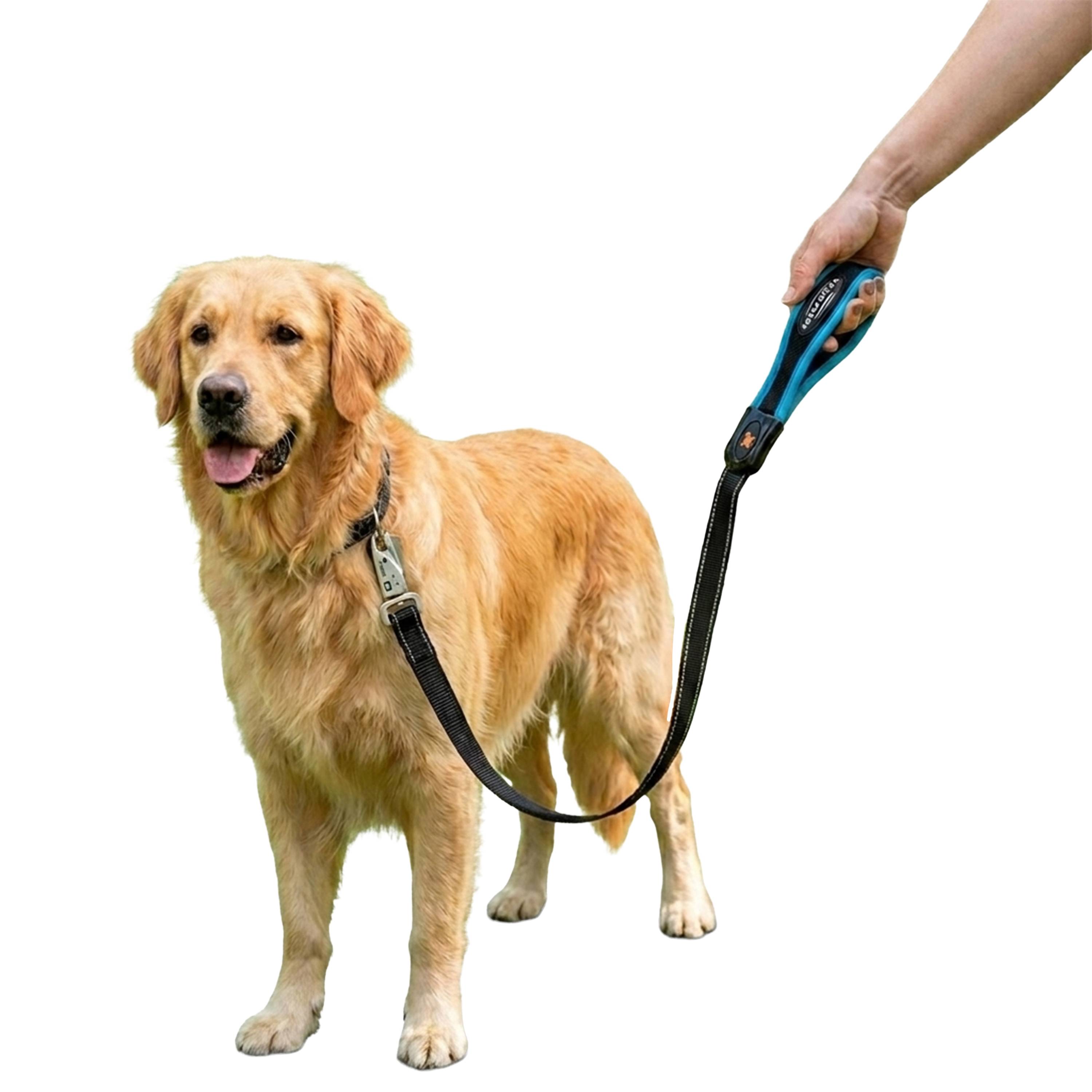 Ferplast - Ferplast Laisse pour chien ERGOFLUO MATIC, Laisse pour Chien taille Moyenne, Mousqueton Innovant avec Mécanisme Magnétique, Poignée rembourrée, Nylon. - Imagen 6