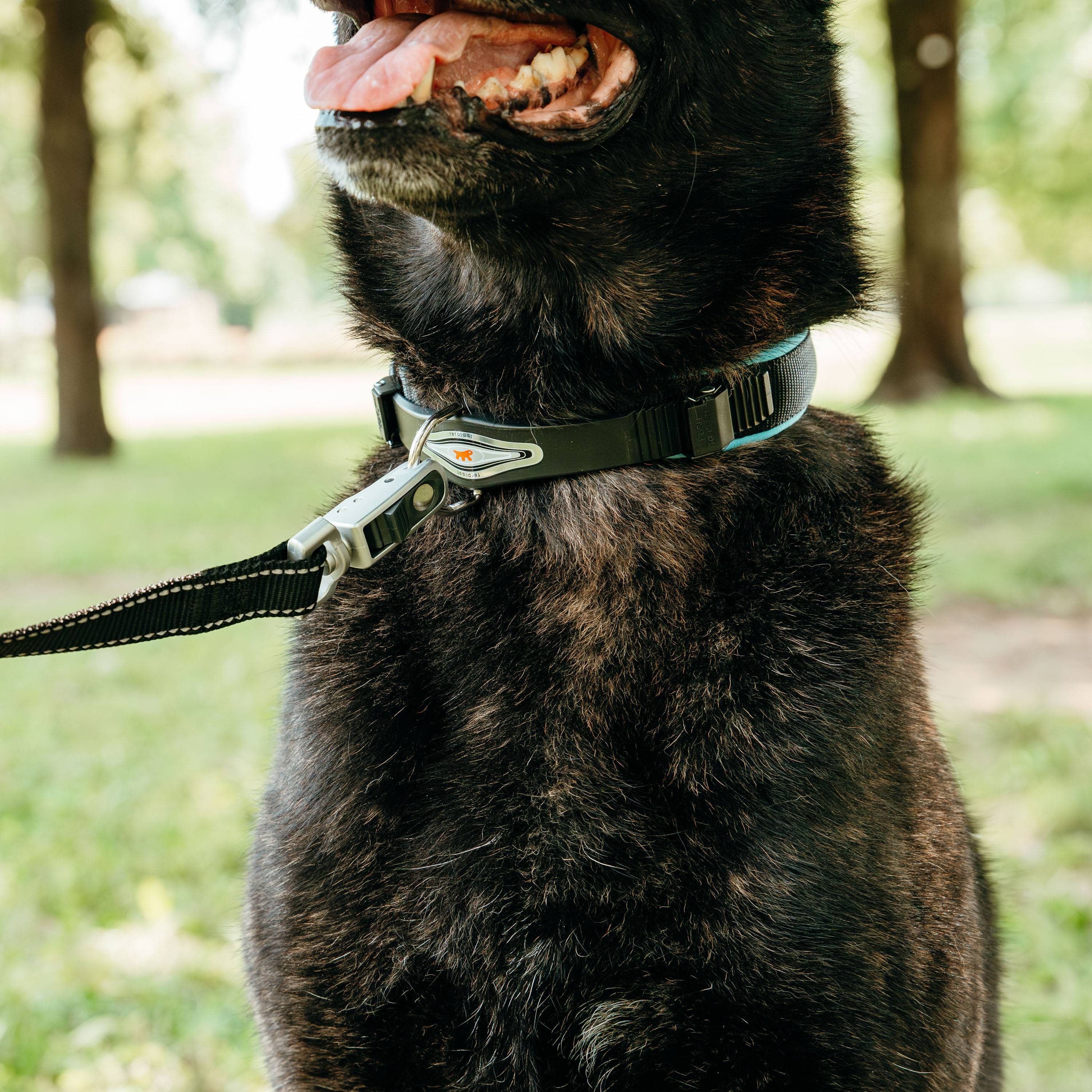 Ferplast - Ferplast Laisse pour chien ERGOFLUO MATIC, Laisse pour Chien taille Moyenne, Mousqueton Innovant avec Mécanisme Magnétique, Poignée rembourrée, Nylon. - Imagen 4