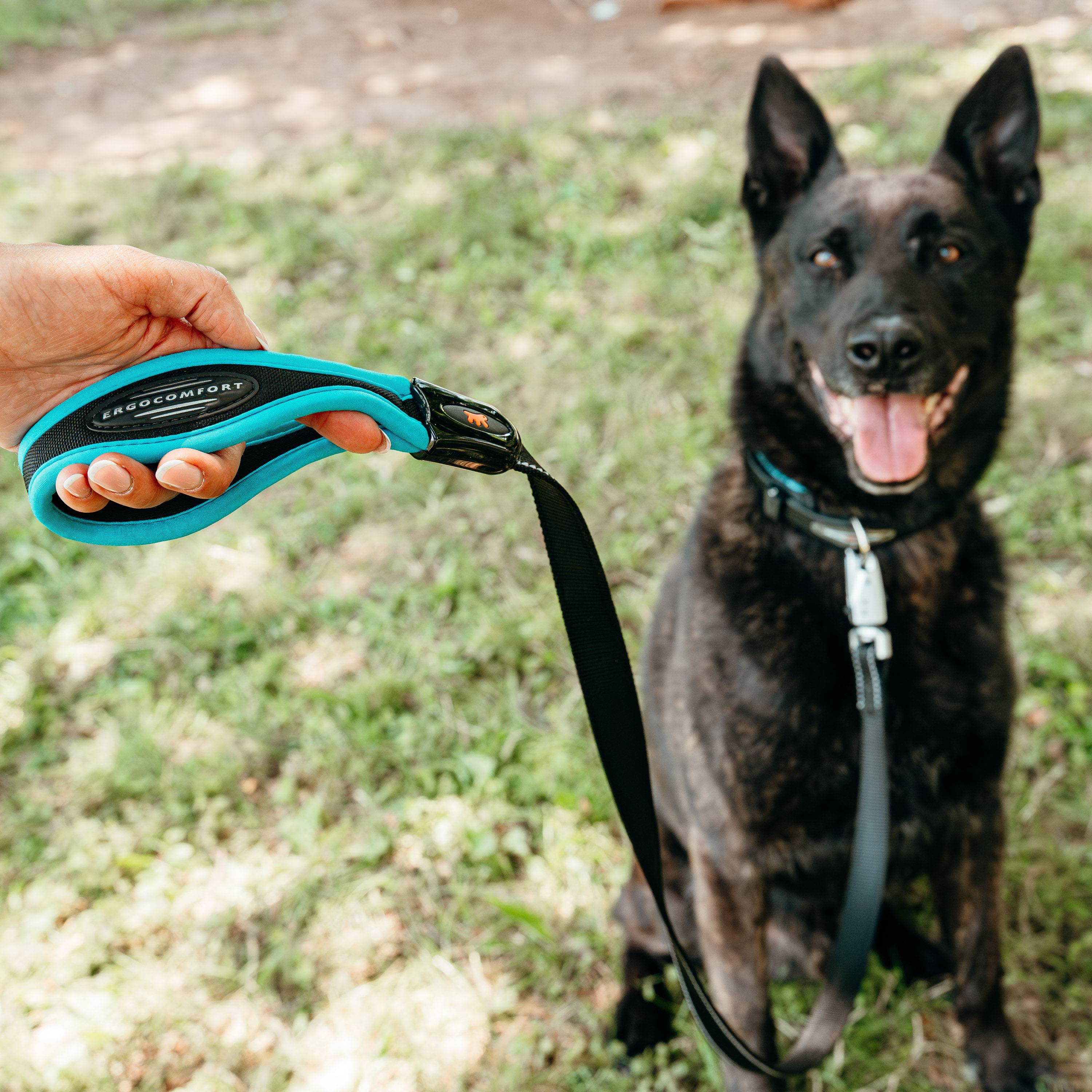 Ferplast - Ferplast Laisse pour chien ERGOFLUO MATIC, Laisse pour Chien taille Moyenne, Mousqueton Innovant avec Mécanisme Magnétique, Poignée rembourrée, Nylon. - Imagen 5