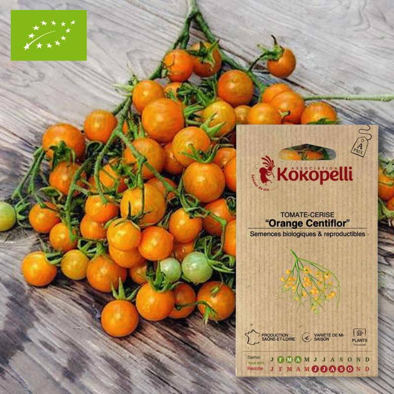 Tomate-Cerise Orange Centiflor- Graines bio à semer - Imagen 1