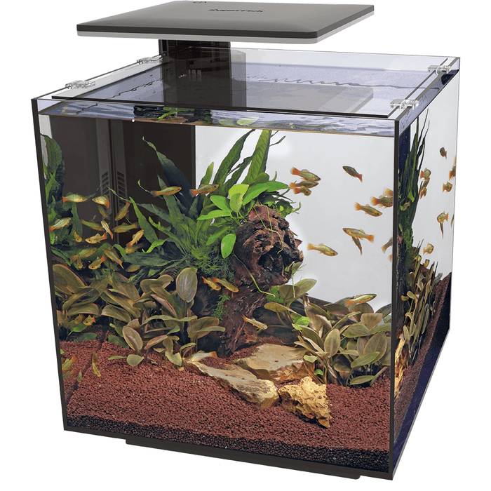 Superfish - Aquarium verre noir 40 x 40 x 50,8 cm QubiQ 60 Pro - SUPERFISH