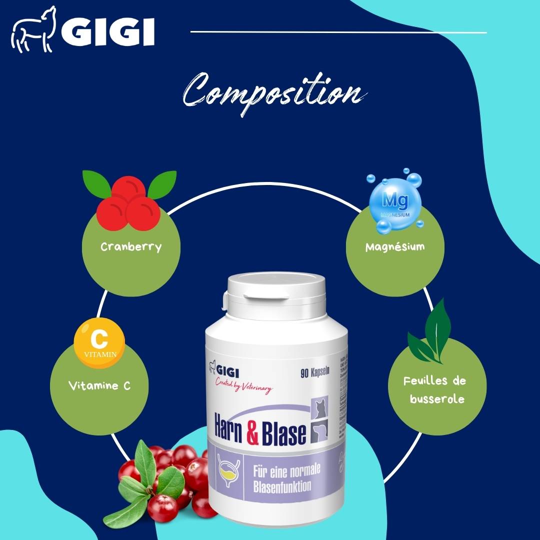 Soutien Vessie & Urinaire Chiens & Chats 90 capsules GIGI VET - Image 5