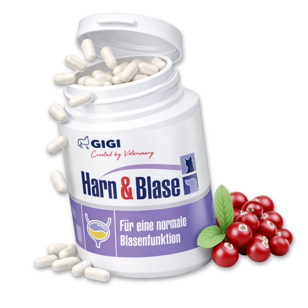 Soutien Vessie & Urinaire Chiens & Chats 90 capsules GIGI VET - Image 1