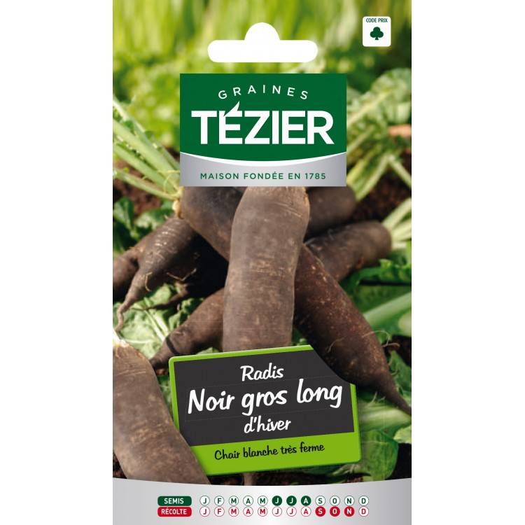 Tezier - Radis noir gros long d'hiver - Imagen 1