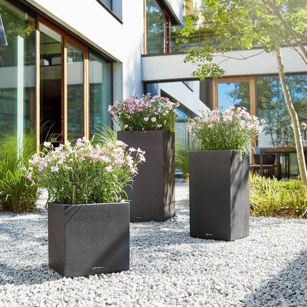 Lechuza - Pot Canto Color 56, noir graphite 3 L 56 cm Lechuza - Imagen 3