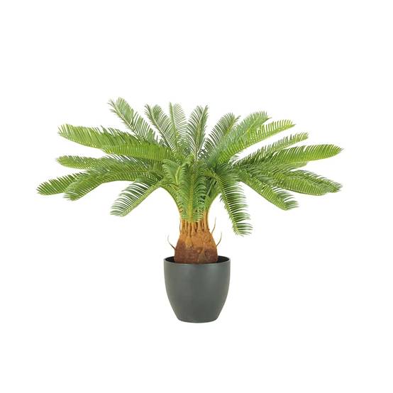 Ligne Deco - Palmier artificiel cycas 70cm - Image 1