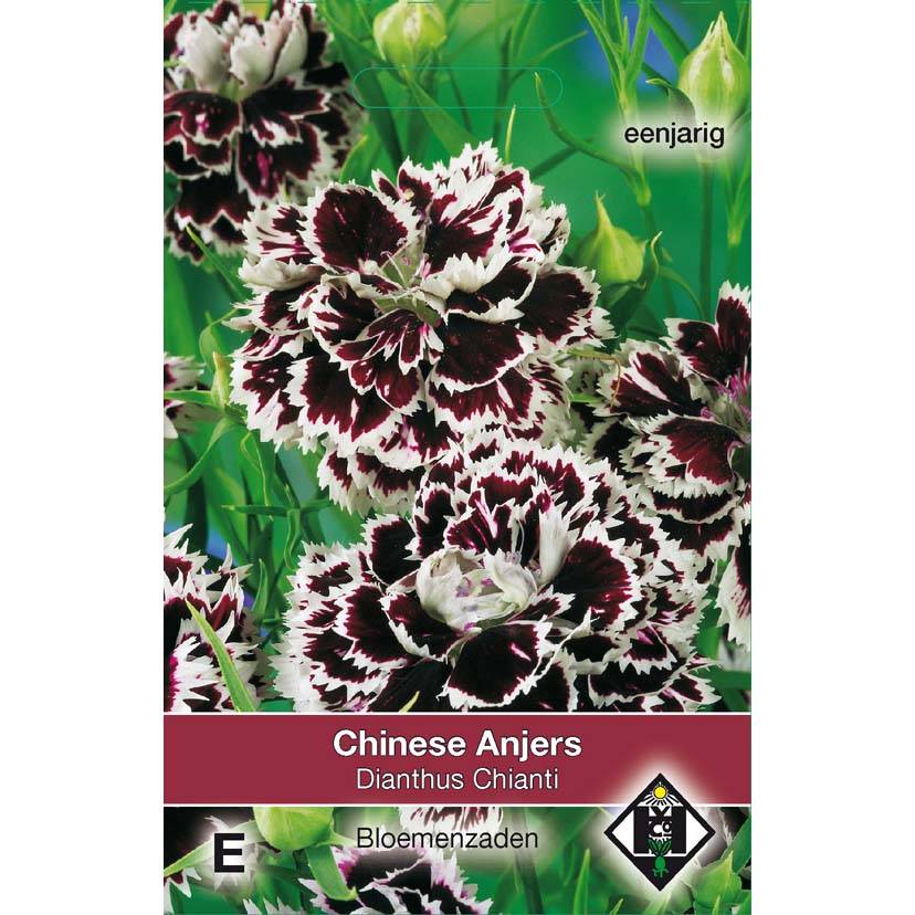 Graines d'Oeillet de Chine Chianti - Dianthus chinensis le sachet de 200 graines environ (0,25g)