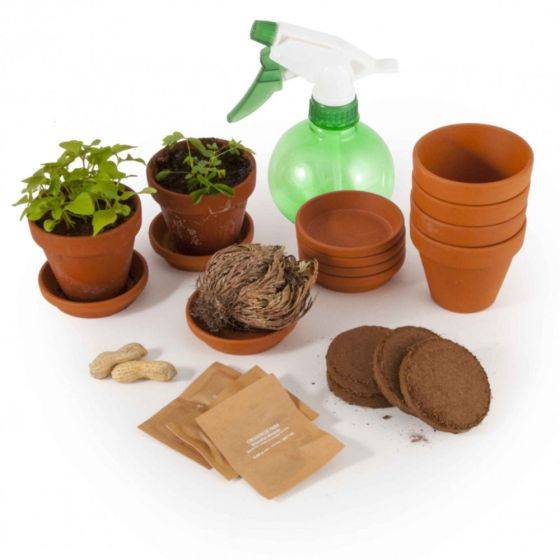 Radis et Capucine - Radis et Capucine - Kit d'activité : Je plante 5 plantes extraordinaires