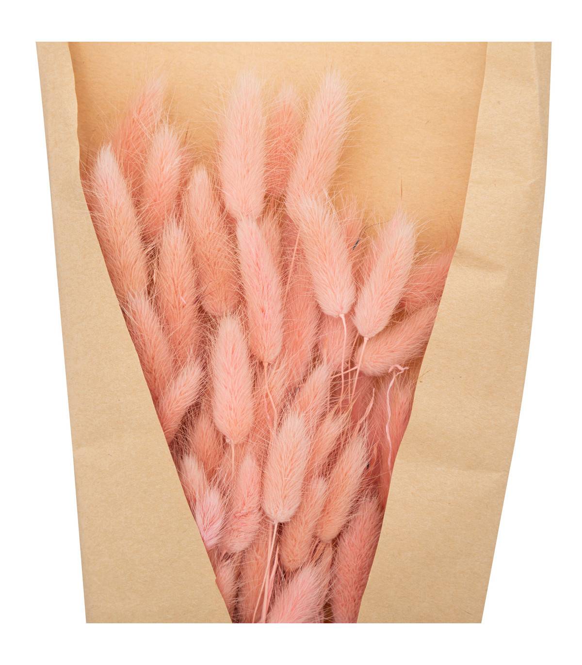 Atmosphera - Bouquet de Fleurs Séchées Queue de Lapin Rose D. 18 x H. 58 cm - Imagen 2