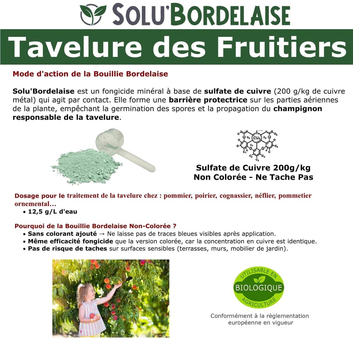 Solu'Bordelaise - Tavelure des Fruitiers - 1 kg de Bouillie Bordelaise Non Colorée -Polyvalent à base de Sulfate de Cuivre 200 g/kg-Doseur inclus - Image 2