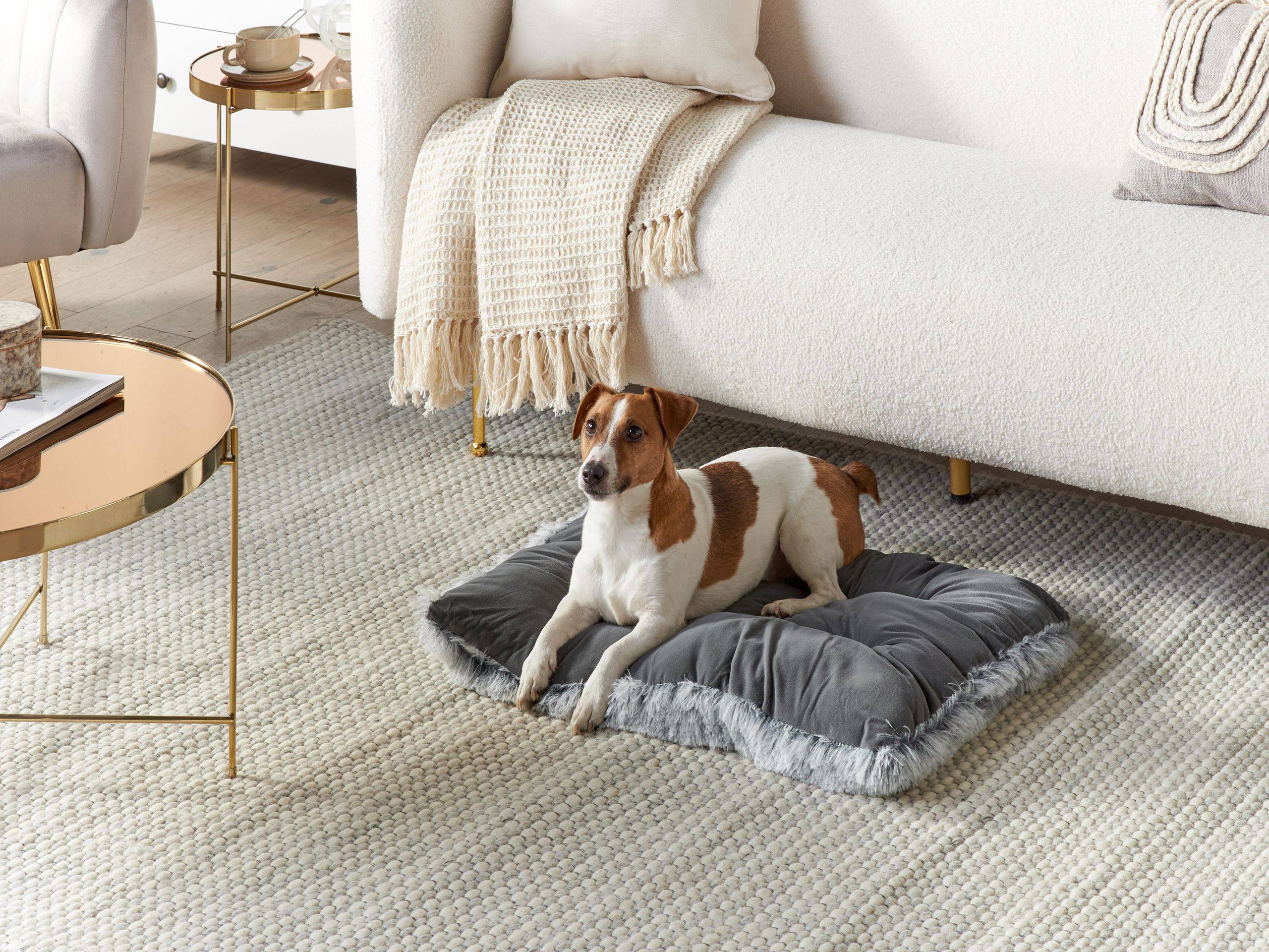 Beliani - Lit pour animal Velours Gris ERGANI - 60x45x10- Beliani - Image 1