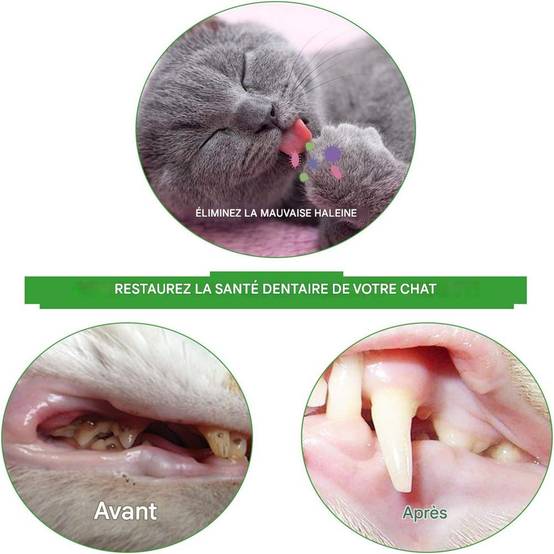 Lot de 2 brosses à dents pour chat en forme d'écrevisses DtopbuyAge - Image 5