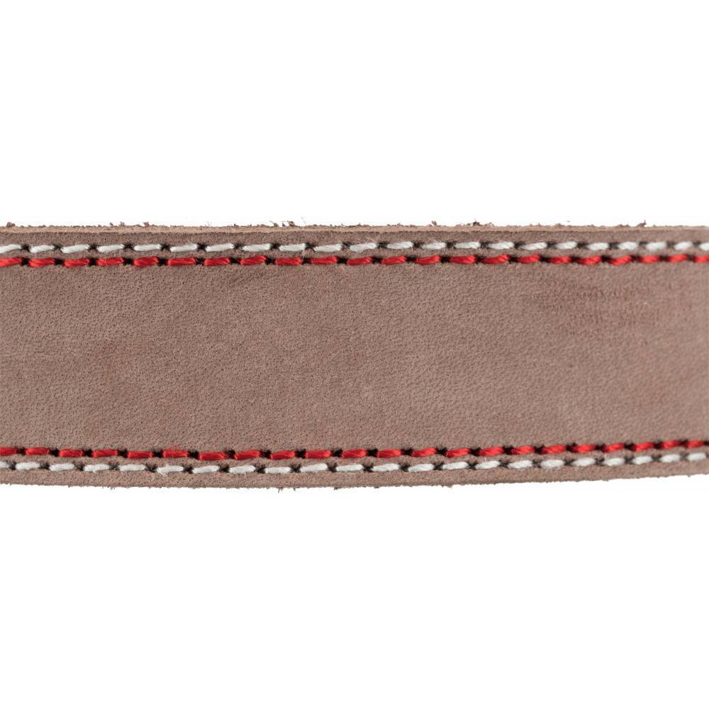 Trixie - Collier cuir L-XL   52-61 cm/30 mm taupe pour chien - Image 3