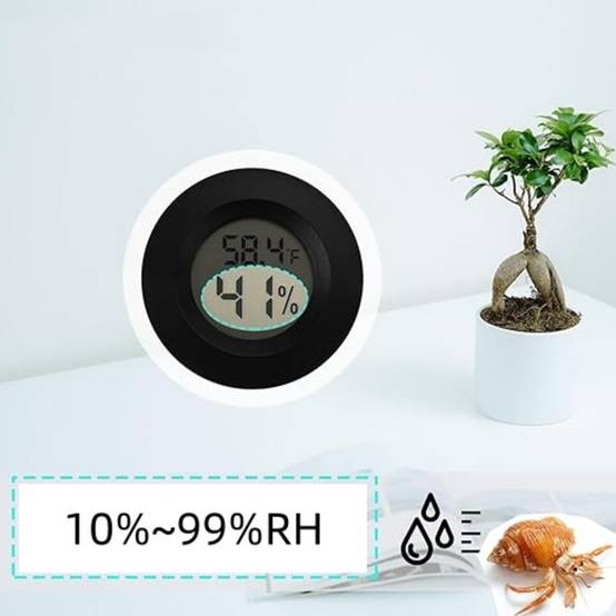 IntiMeg - Thermomètre et hygromètre pour reptiles IntiMeg - Image 2