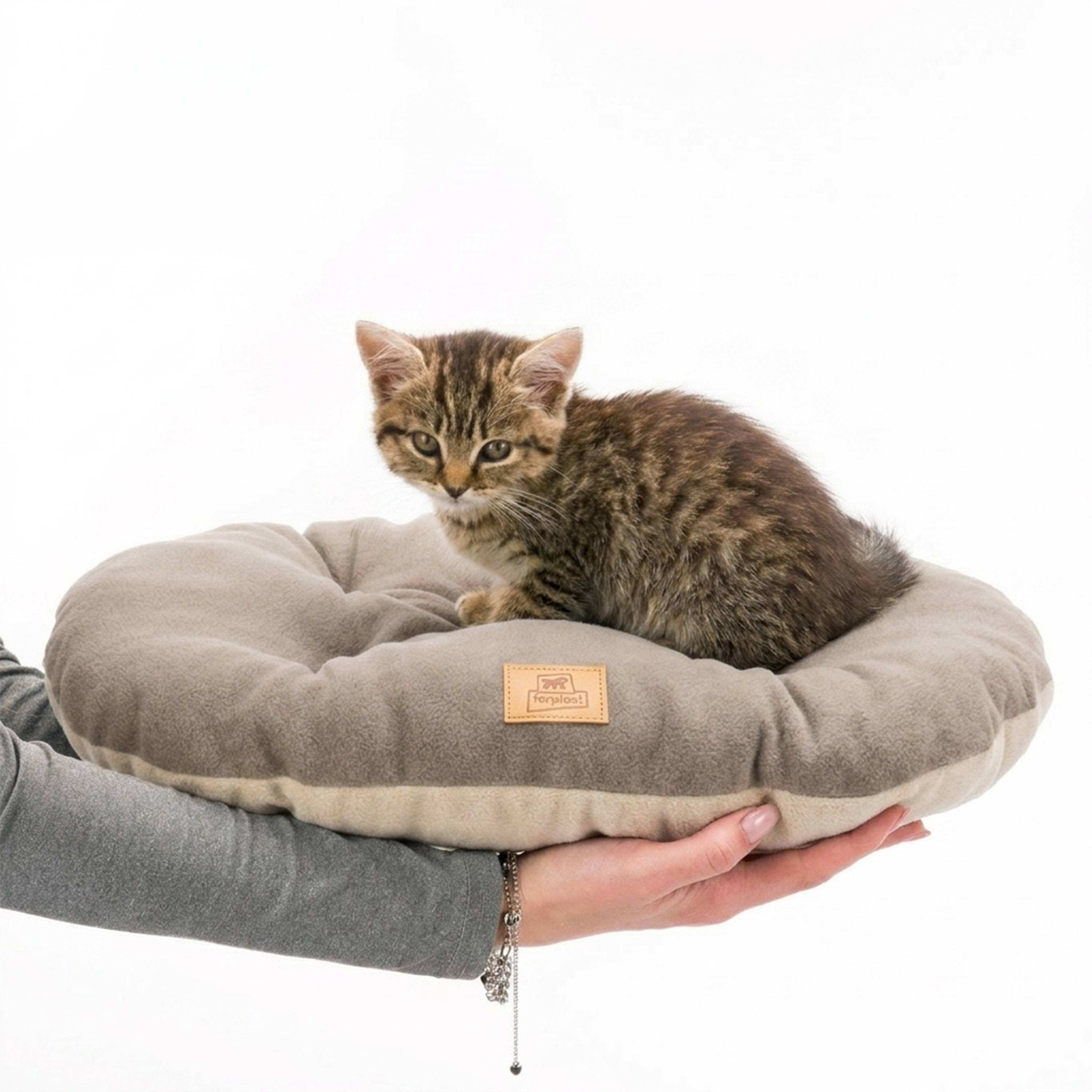 Ferplast - Ferplast Coussin Chien, Tapis Chien RELAX 45/2 MICROFLEECE, Coussin Chat, Lit pour Chiens Chats, Matelas Animaux, Coussin pour Panier Chien et Chat, - Imagen 6