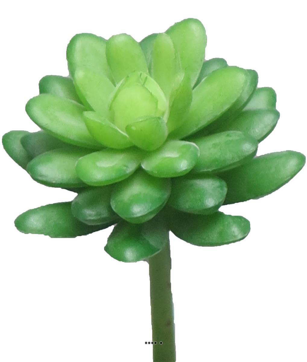 Artificielles - Echeveria elegans artificielle en piquet, H16 cm, D12 cm, Vert - BEST - couleur: Vert - Imagen 2