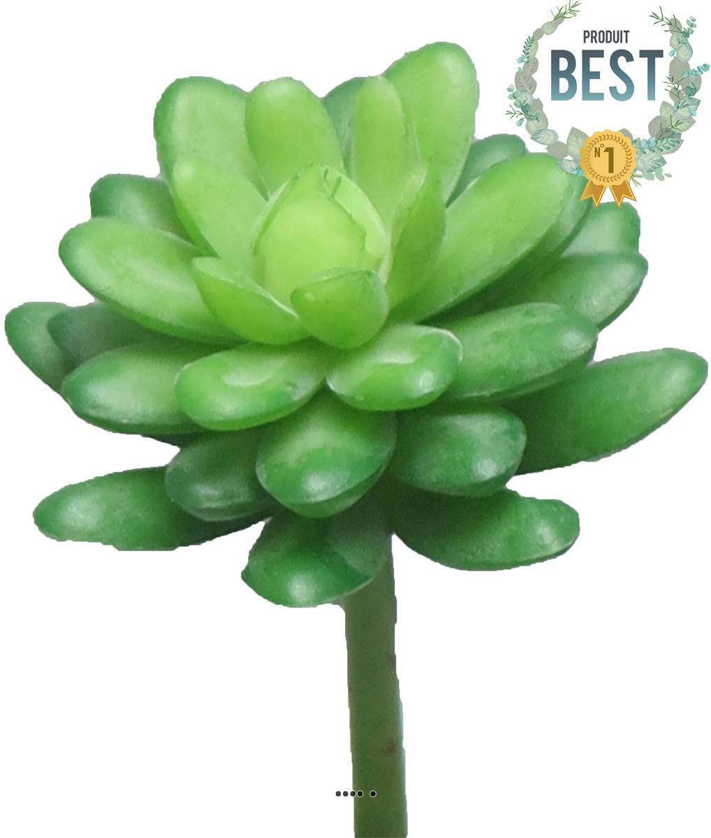 Artificielles - Echeveria elegans artificielle en piquet, H16 cm, D12 cm, Vert - BEST - couleur: Vert - Imagen 1