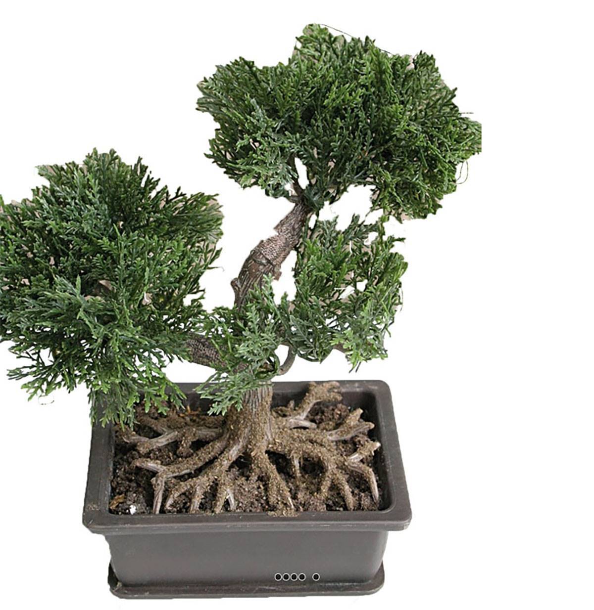 Artificielles - Mini bonsai artificiel en pot H 18,5 cm - Imagen 2