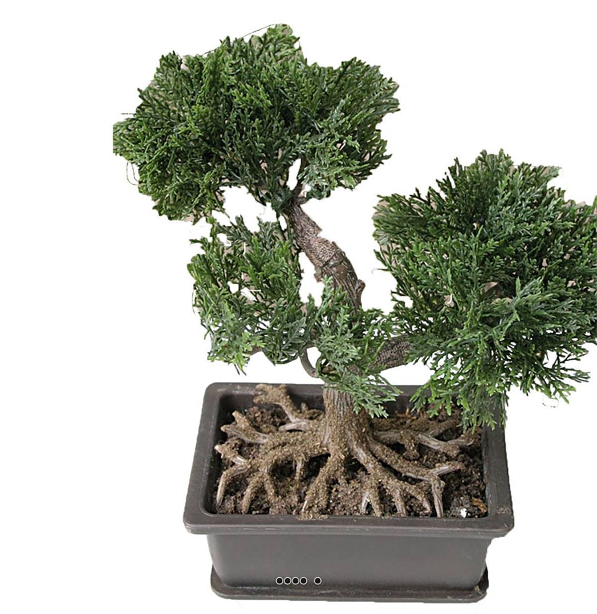 Artificielles - Mini bonsai artificiel en pot H 18,5 cm - Imagen 1
