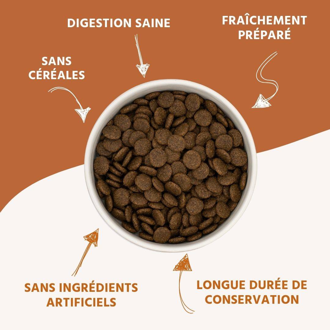 Wildfang - Wildfang Aliments secs juniors avec saumon pour chiots - sans céréales - 2 kg - Image 3