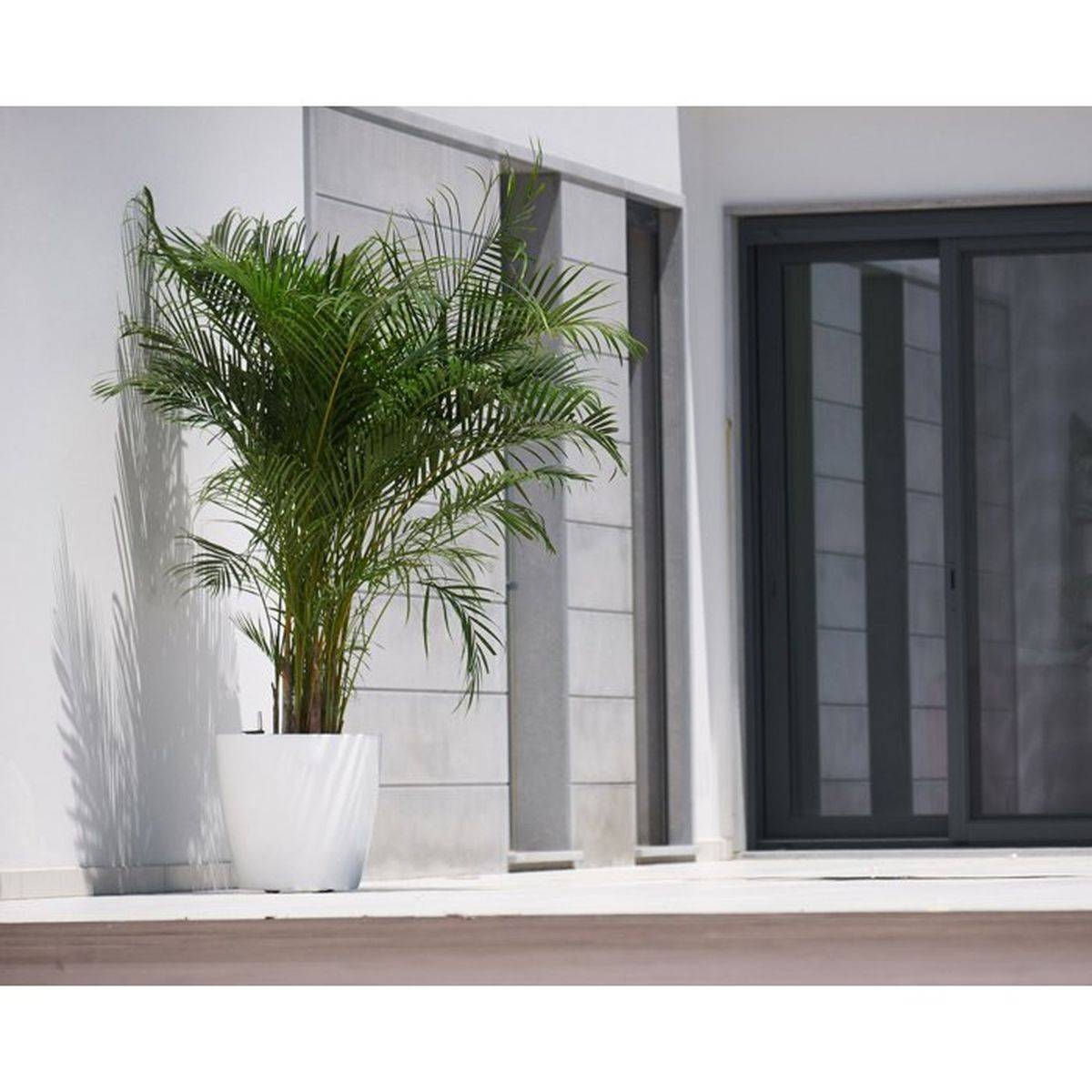 Artevasi - Pot de fleurs auto-arrosant San Remo Ø 36 x H 33,5 cm, plastique brillant rouge foncé, protection anti-UV - ARTEVASI - Imagen 5