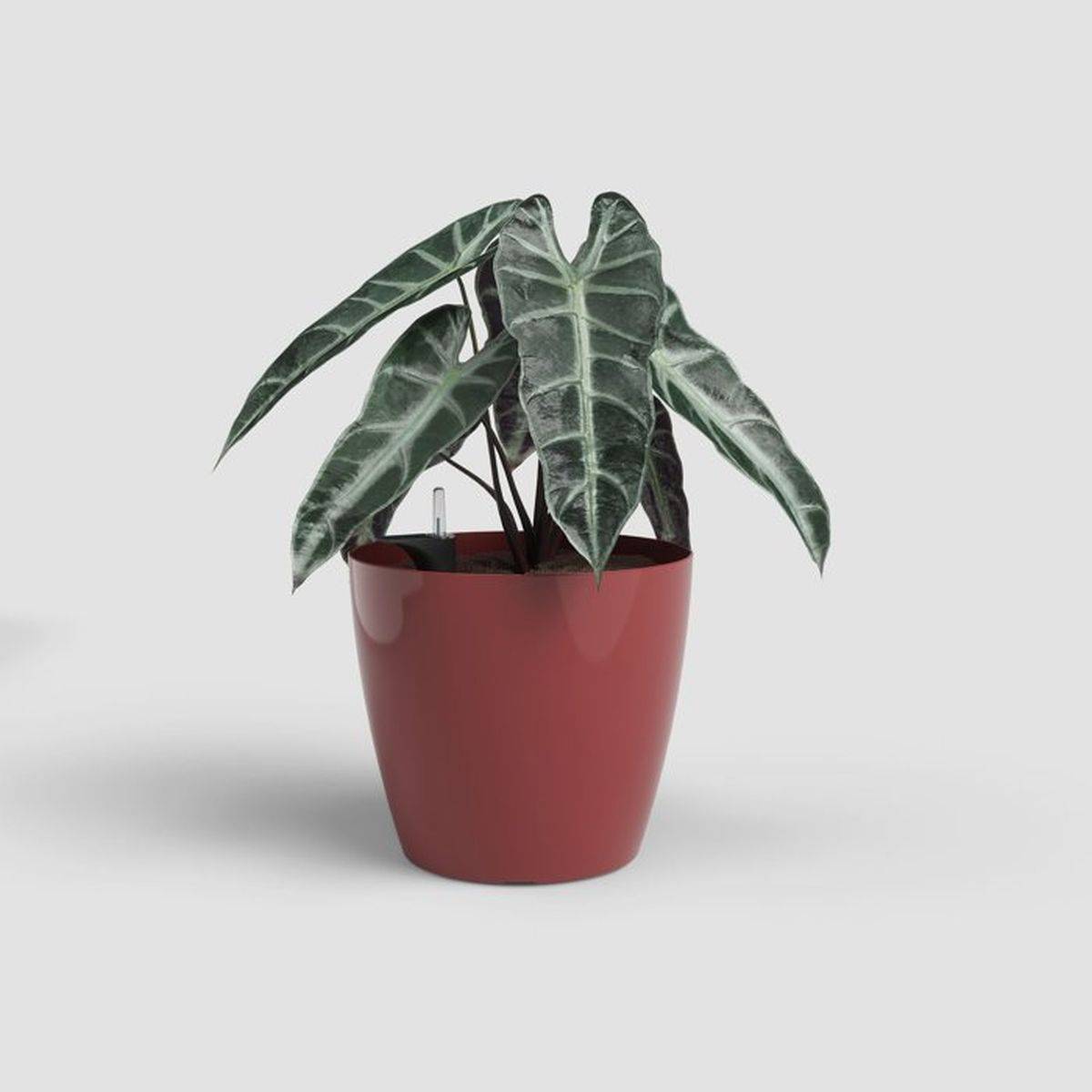 Artevasi - Pot de fleurs auto-arrosant San Remo Ø 36 x H 33,5 cm, plastique brillant rouge foncé, protection anti-UV - ARTEVASI - Imagen 2