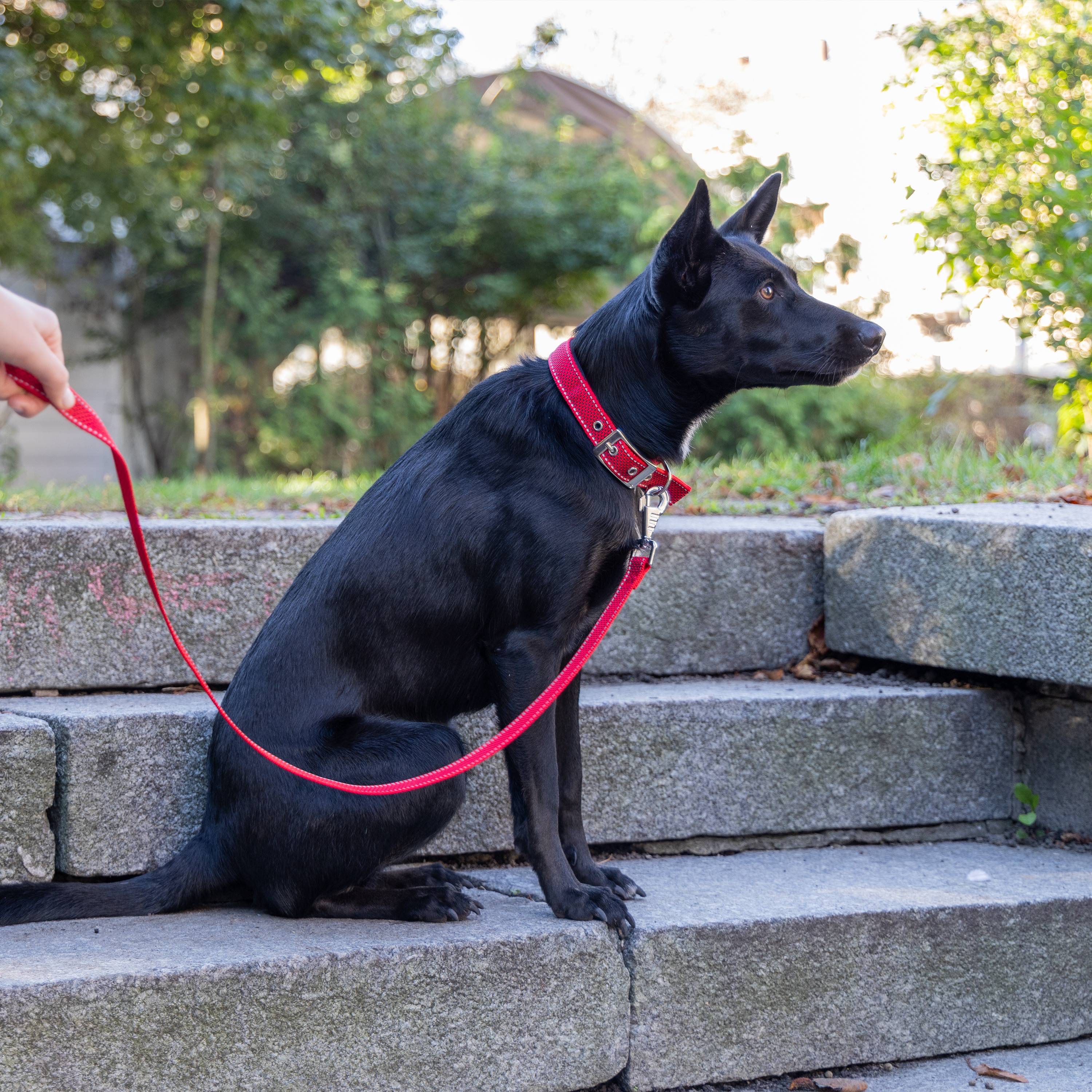 Ferplast - Collier pour Chiens Réfléchissant Rembourré DAYTONA DELUXE C25/45, Réglable, Boucle en Métal, Rouge-Noir - Imagen 3