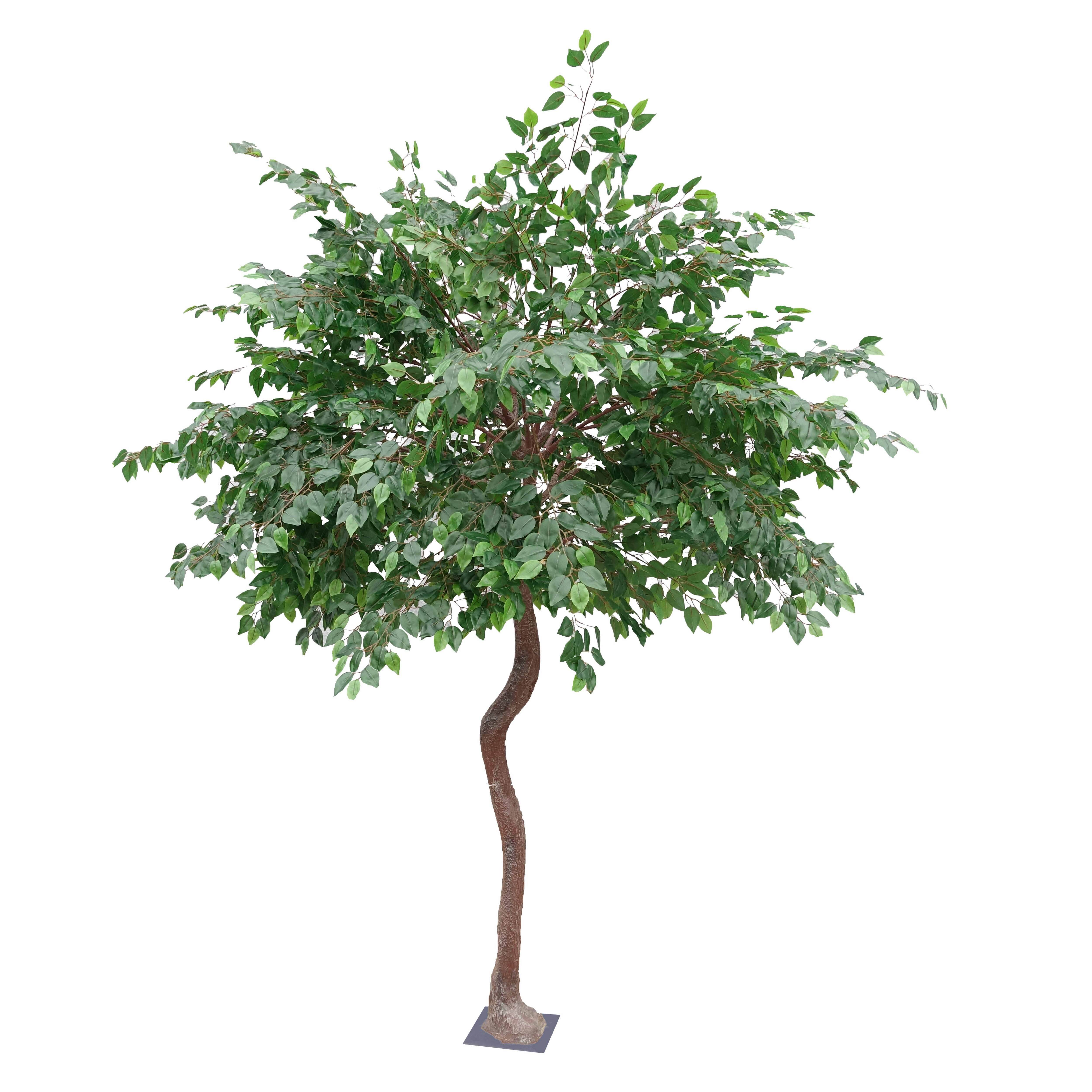 Oviala - Banyan artificiel 2,90 m Oiko - Oviala - Image 1
