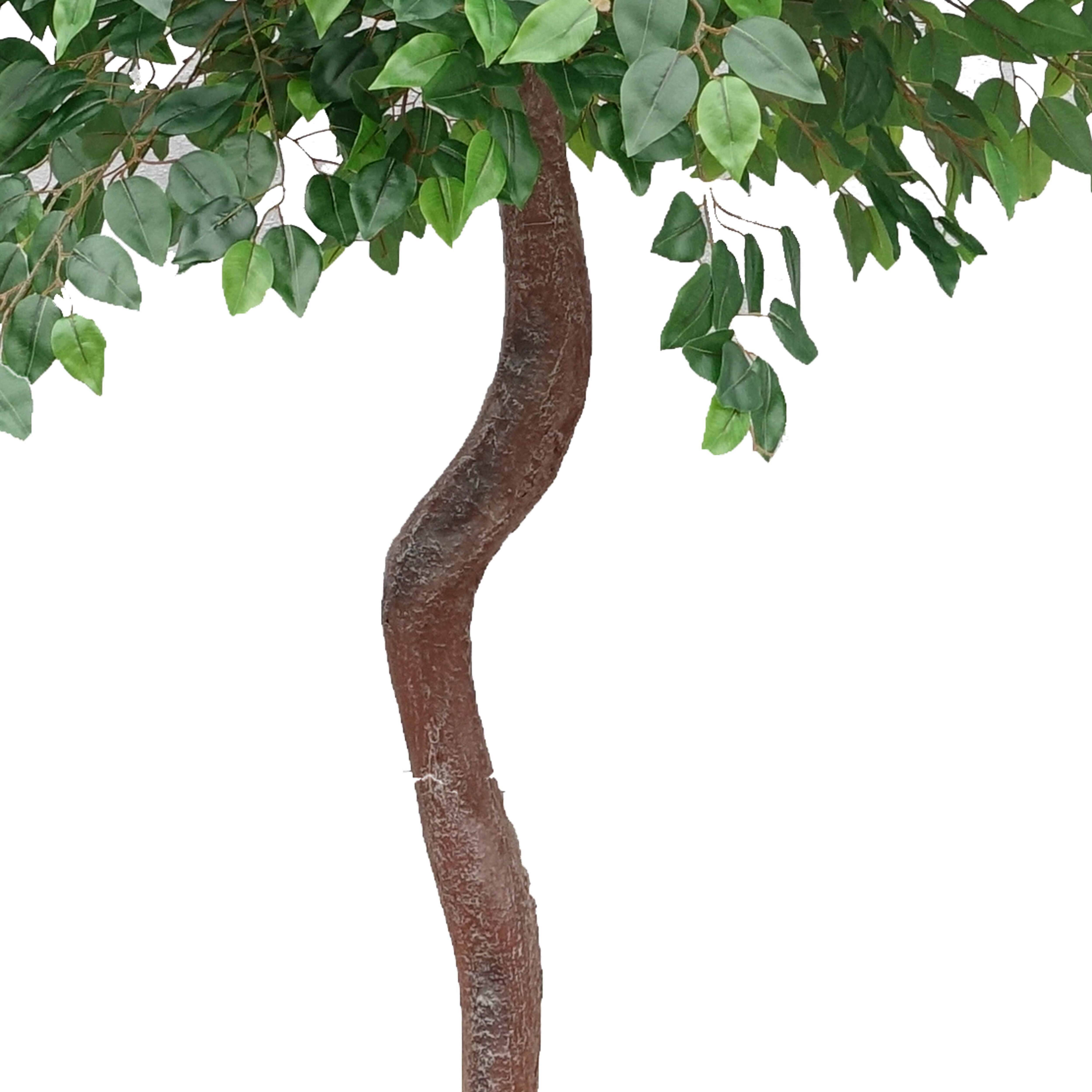 Oviala - Banyan artificiel 2,90 m Oiko - Oviala - Image 4