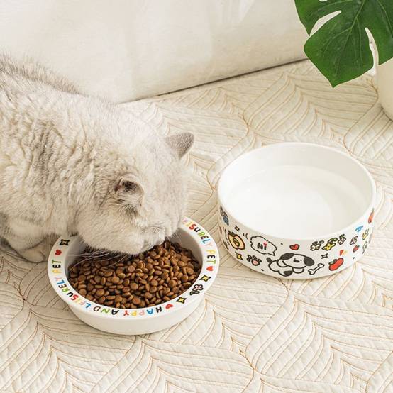 IntiMeg - Gamelle en céramique pour chat - IntiMeg - Image 2