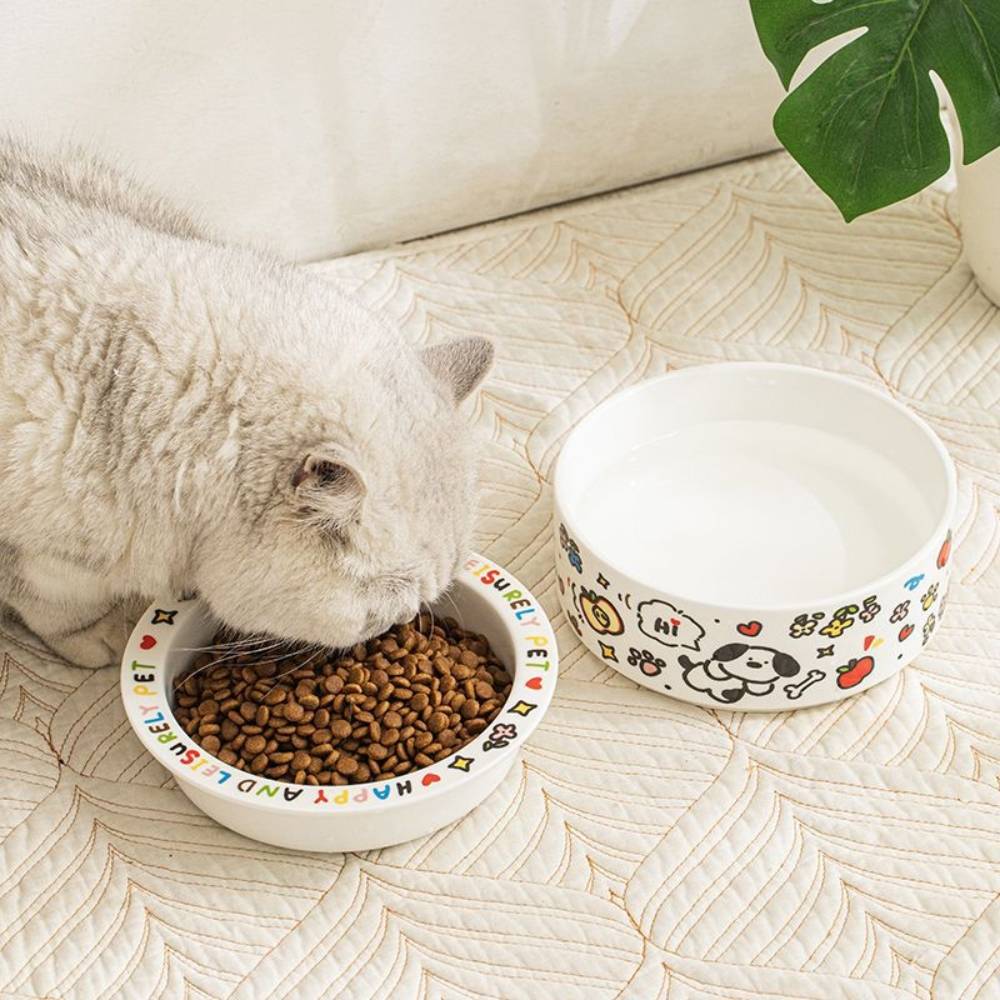 IntiMeg - Gamelle en céramique pour chat - IntiMeg - Image 2