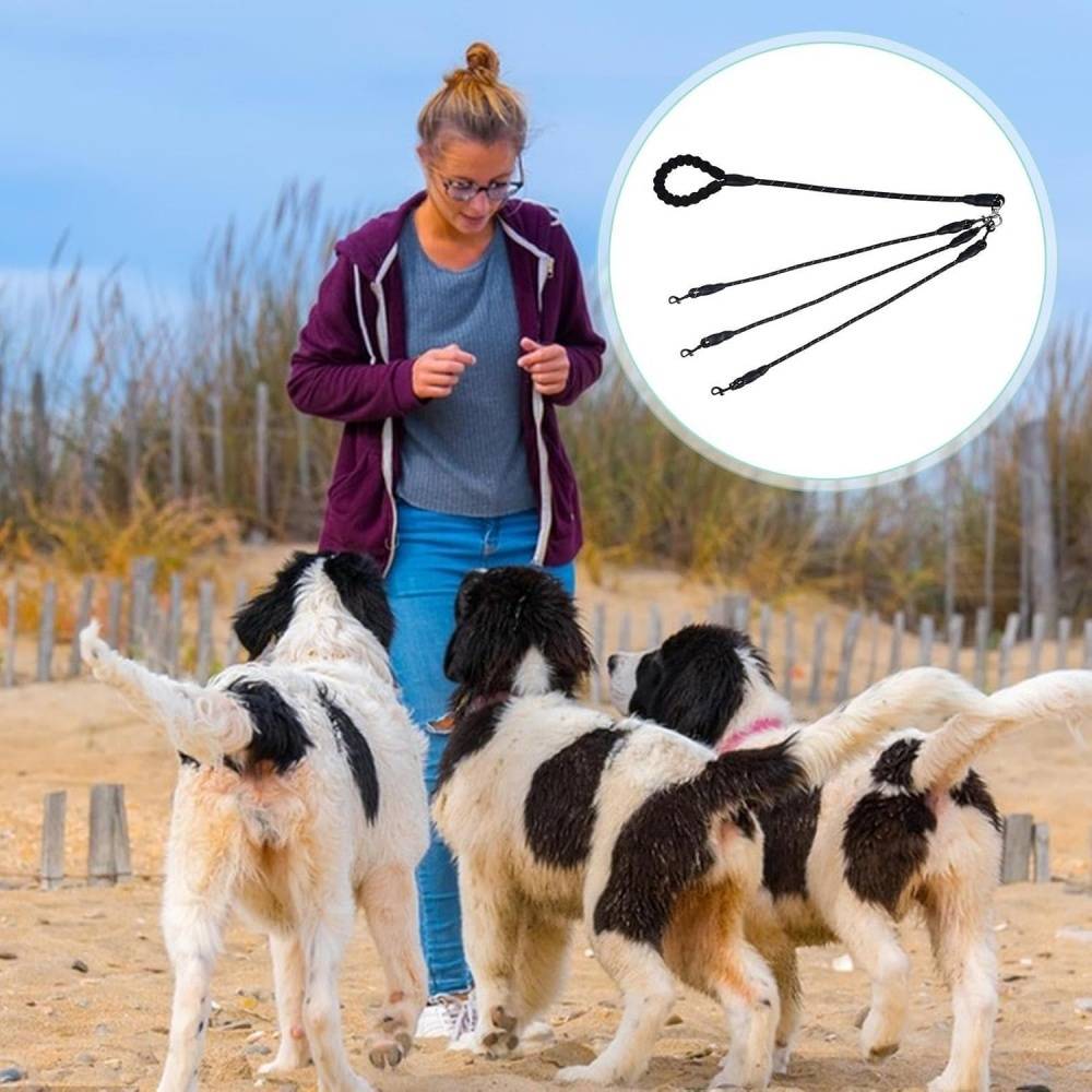 DtopbuyAge - Corde de traction pour chien avec boucle rotative 360° DtopbuyAge - Image 2
