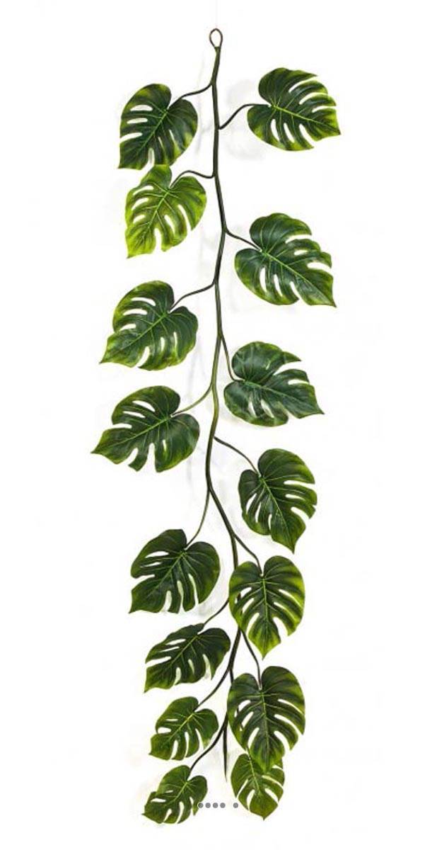 Artificielles - Guirlande de feuilles de philodendron H 230 cm largeur 70 cm