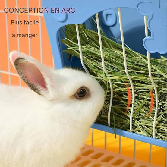 DtopbuyAge - Mangeoire pour lapin, lapin nain et cochon d'Inde DtopbuyAge - Image 2