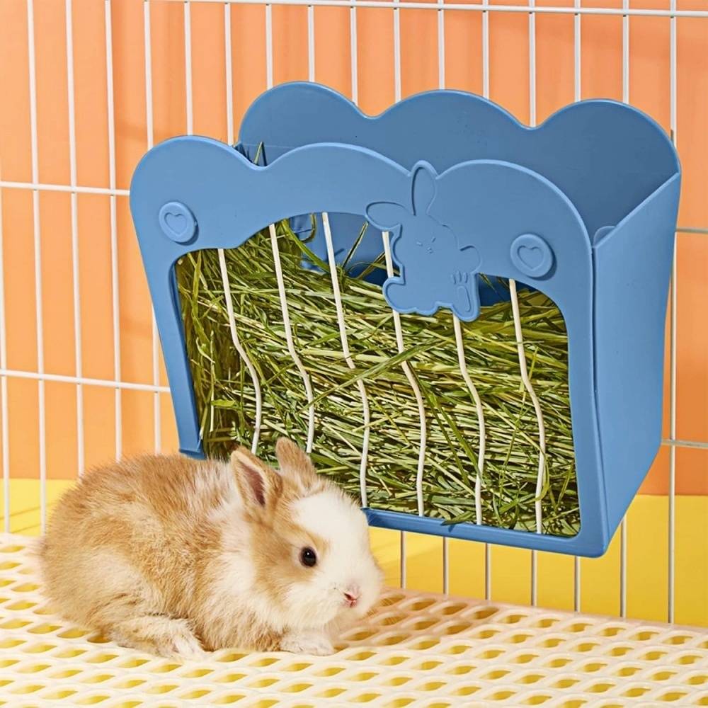 DtopbuyAge - Mangeoire pour lapin, lapin nain et cochon d'Inde DtopbuyAge - Image 1