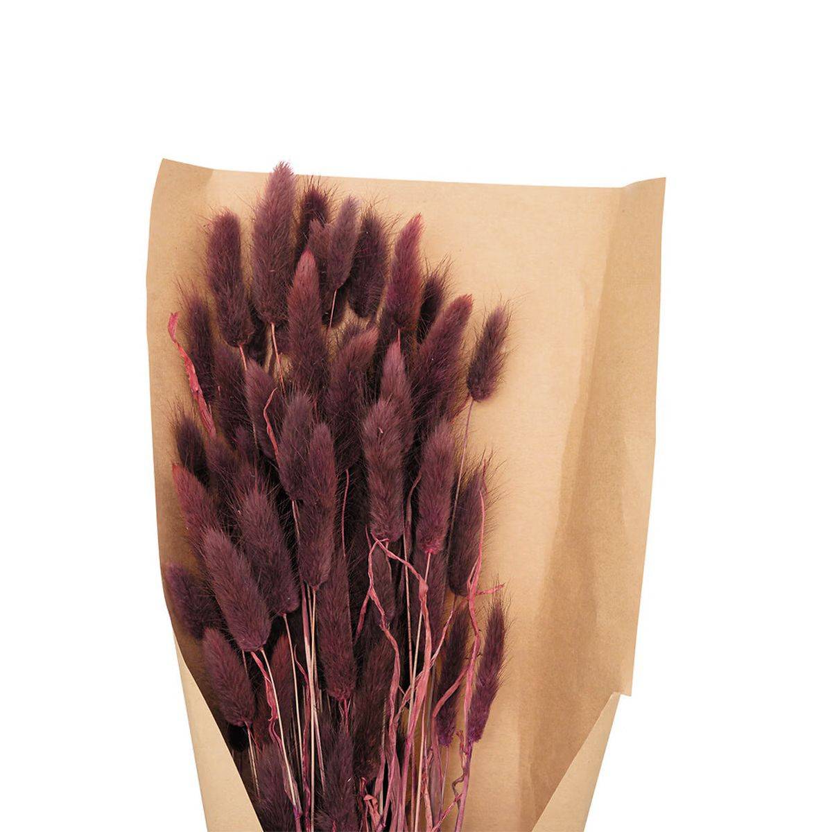 Atmosphera - Bouquet de Fleurs "Queue de Lapin" 58cm Violet - Image 2