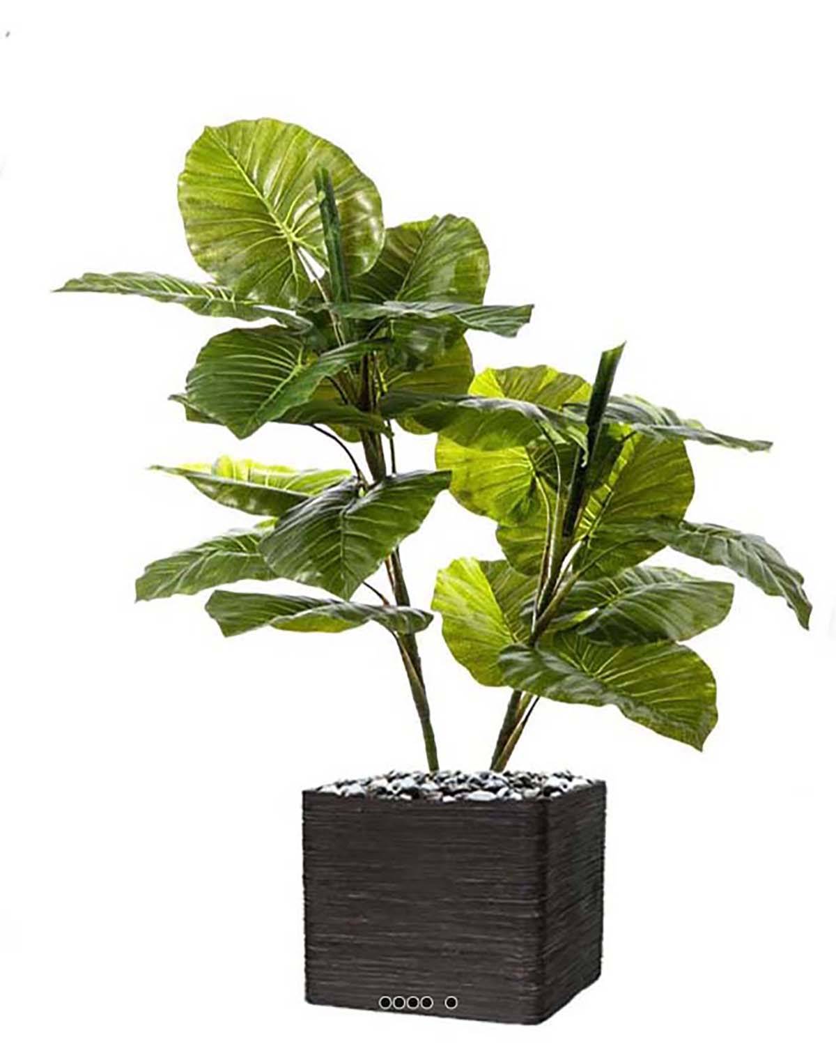 Artificielles - Syngonium artificiel en pot 2 troncs 19 grandes feuilles H 120 cm - Imagen 2