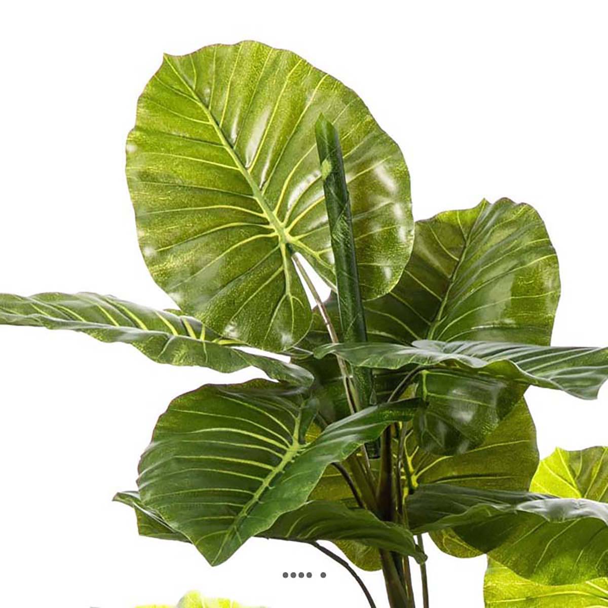 Artificielles - Syngonium artificiel en pot 2 troncs 19 grandes feuilles H 120 cm - Imagen 3