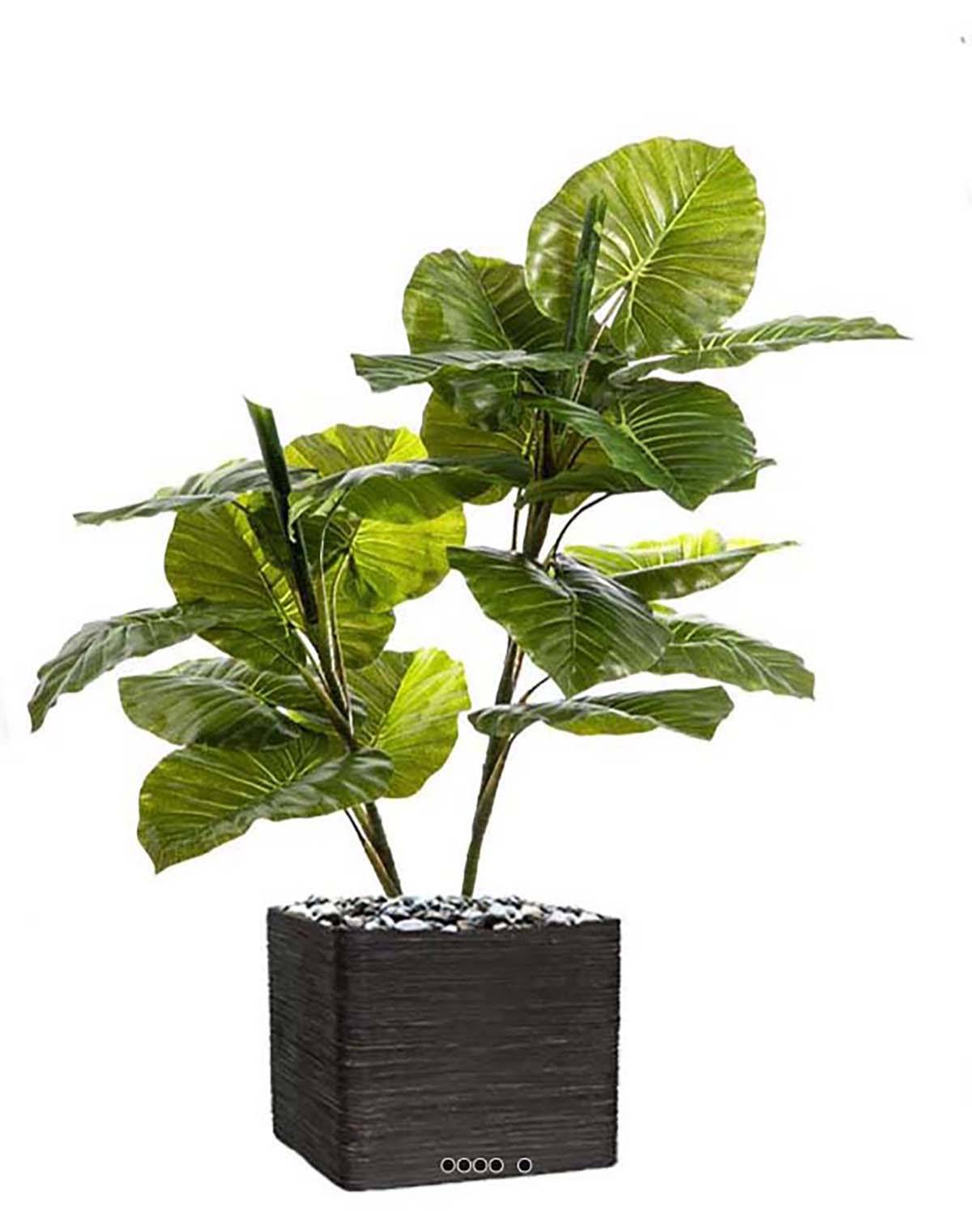 Artificielles - Syngonium artificiel en pot 2 troncs 19 grandes feuilles H 120 cm - Imagen 1
