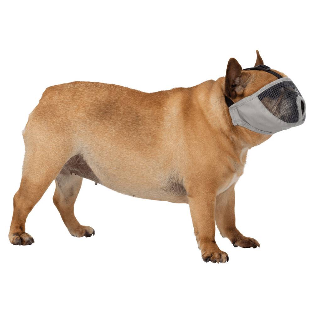 Muselière Taille S-M pour les races de chien à nez court - Imagen 3