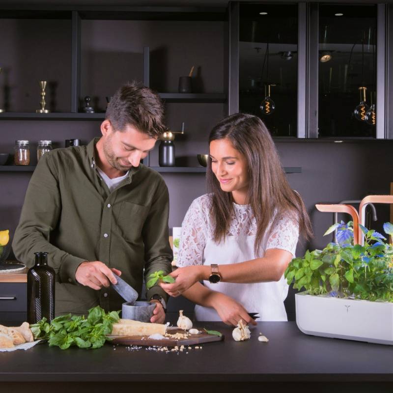 Veritable - Potager d'intérieur Autonome Véritable SMART White Copper - Livré avec 4 Lingots - Véritable - Image 2