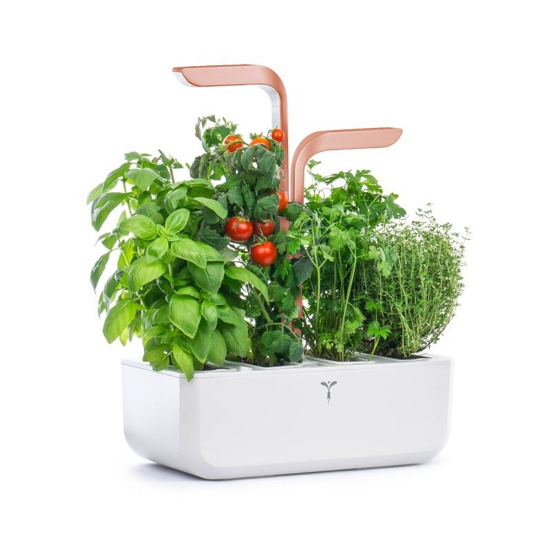 Veritable - Potager d'intérieur Autonome Véritable SMART White Copper - Livré avec 4 Lingots - Véritable - Image 3