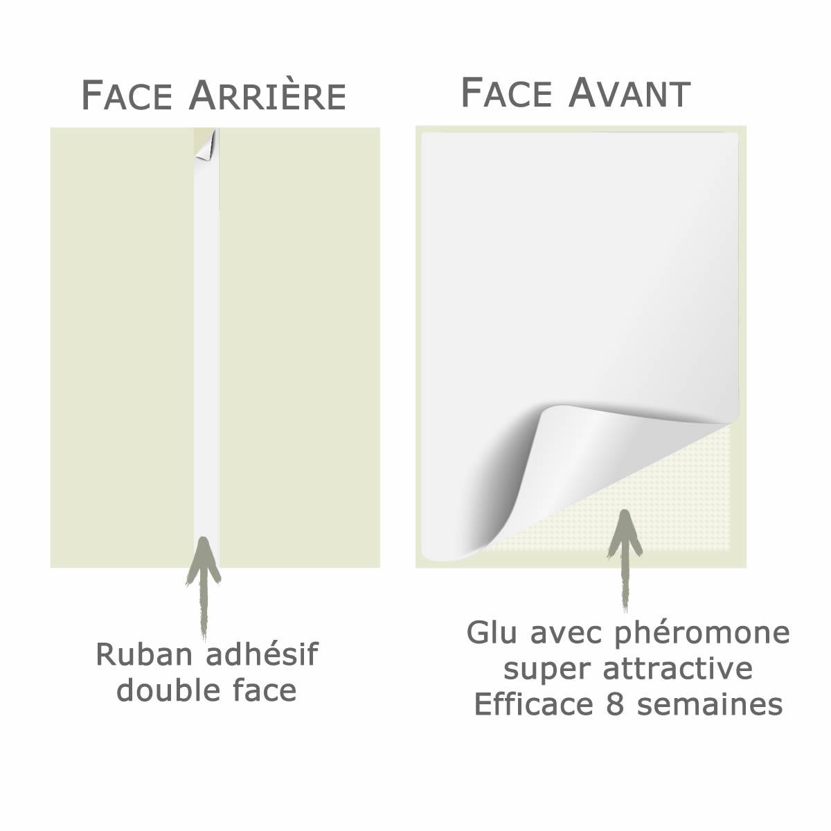 SOLUMITES-Lot de 15 Pièges à Phéromones pour Teignes Alimentaires - Image 3