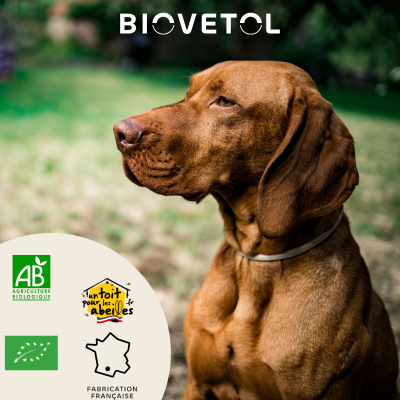 Biovetol - Vermífugo Bio en Polvo para Perro Grande - Imagen 2