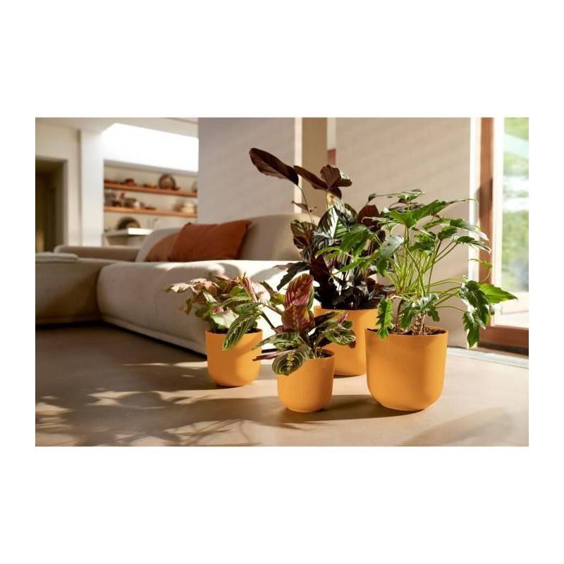 Elho - Pot De Fleur - Elho - Jazz Rond - Jaune - L 35 X B 34.5 X H 32 Cm - Intérieur - 100% Recyclé - Imagen 4