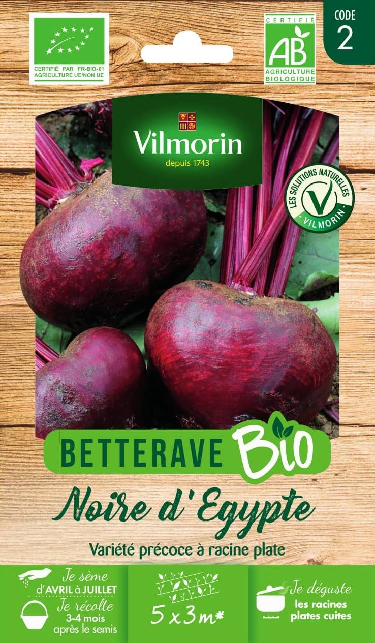 Betterave noire plate d'Egypte Bio - Vilmorin le sachet de 300 graines environ (6g)