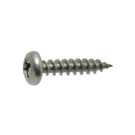 Acton - Boîte 100 Vis aggloméré tête cylindrique pozidrive Inox A4 ACTON - 3 x 16 mm - 643063X16