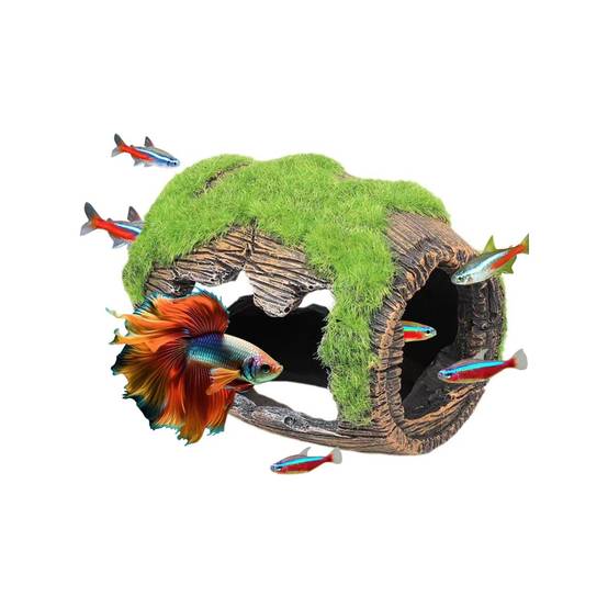 Grotte Décorative Mousse pour Aquarium S DtopbuyAge - Image 1