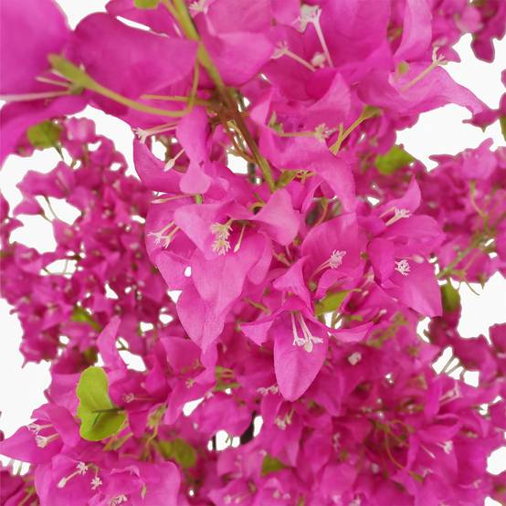 Ligne Deco - Bougainvillier artificiel fuchsia 175cm - Image 3